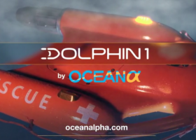 dolphin 1 thumbnail e1559794225775